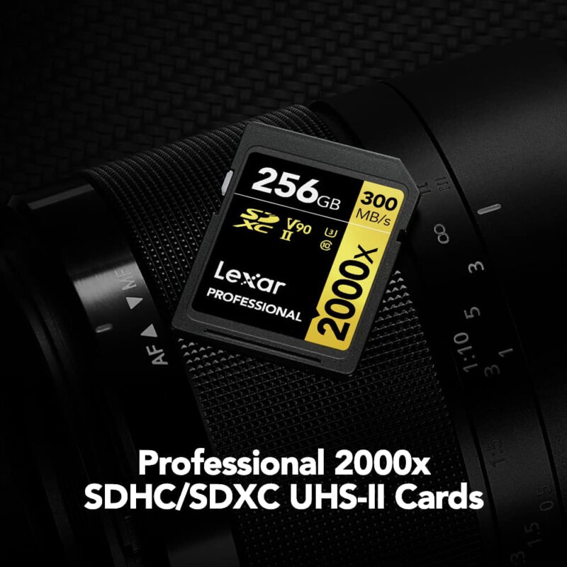 Cartão de Memória Lexar 64gb Cartão Sd Profissional 300Mbs