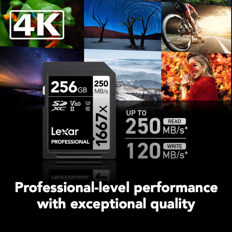 Cartão de Memoria Lexar 256gb 250Mbs V60 U3 c10 Preto