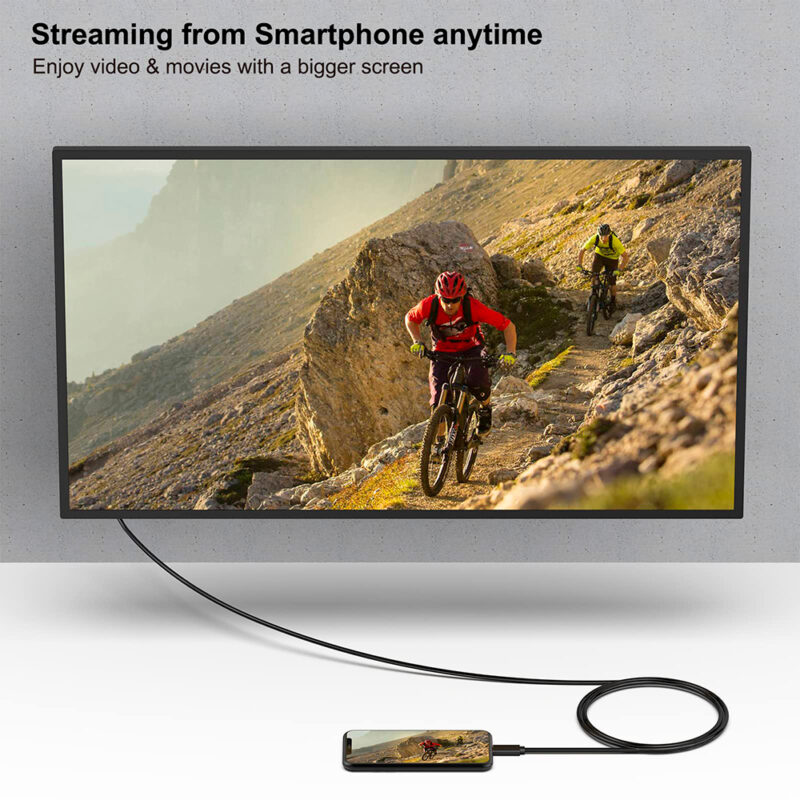 Cabo de Vídoe Benfei Usb C p/DVI 1,8M Macho/Macho Preto