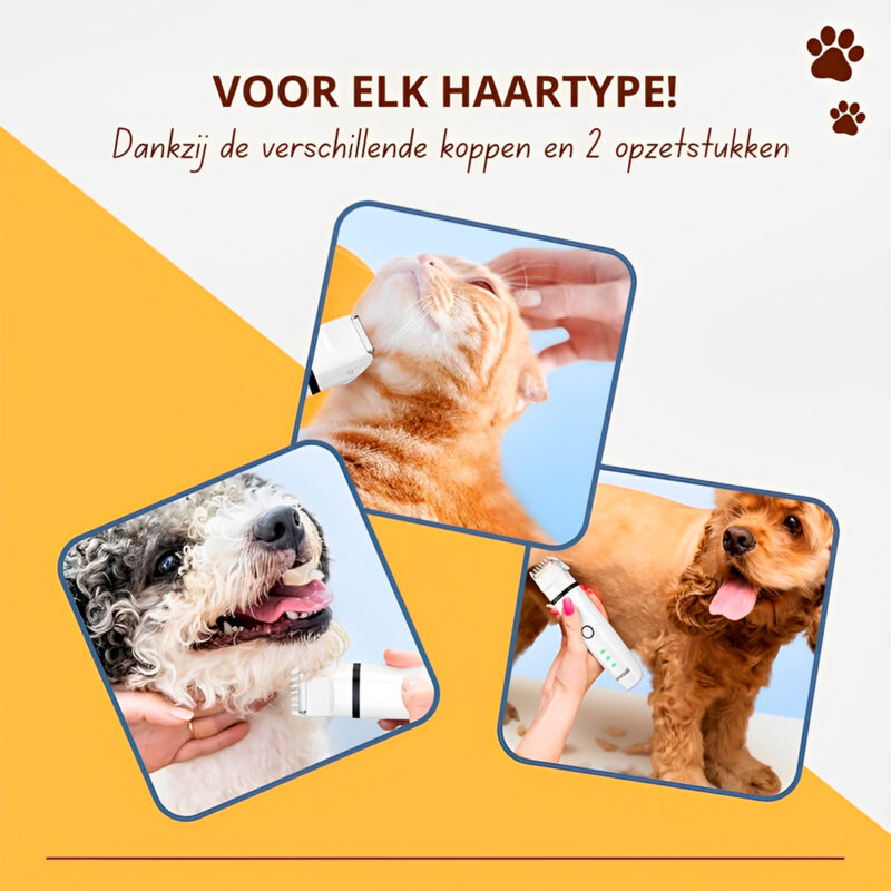 Kit Higiene Cães Gatos Oneisall N12 4in1 Aparador Pelos