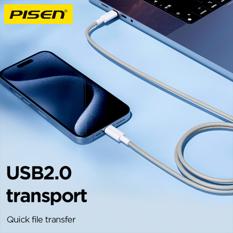 Cabo USB-C para USB-C Pisen Macho Máx 100W 1Metro Cinza