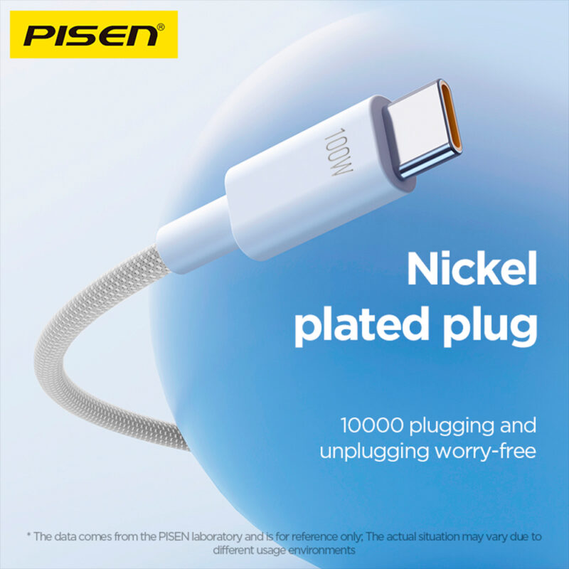 Cabo USB-C para USB-C Pisen Macho Máx 100W 1Metro Cinza