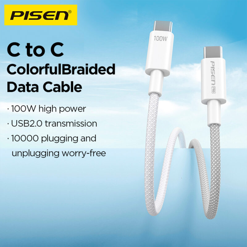 Cabo Usb C para Usb C Pisen Macho Máx 100W 2Metro Cinza