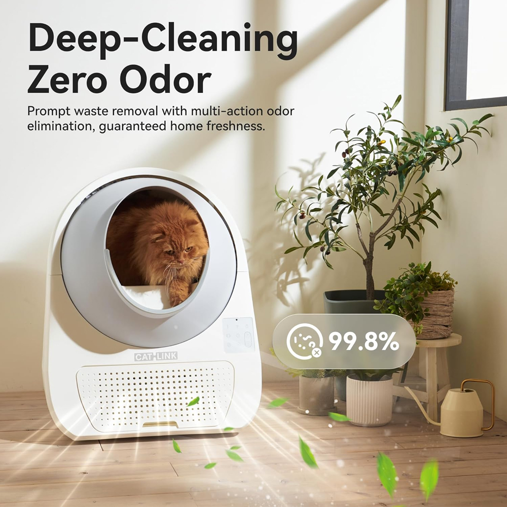 Escada Rampa CatLink Caixa de Areia para Gatos Cinza