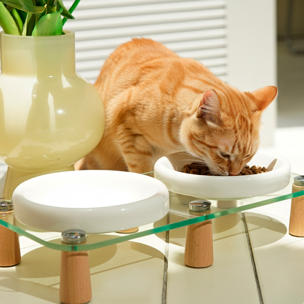 Tigela Cerâmica Life 31002WT com Suporte de Madeira