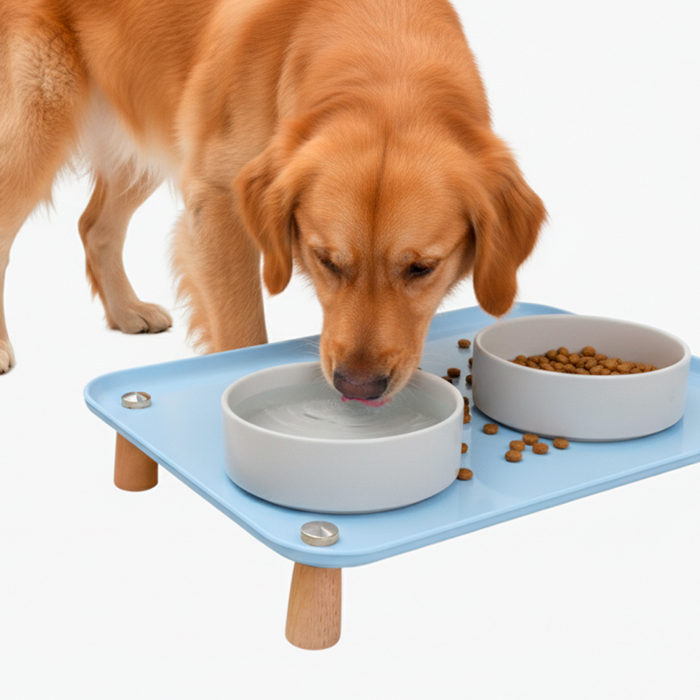 Suporte de Alimentação Elevado Life 31100BL Pet