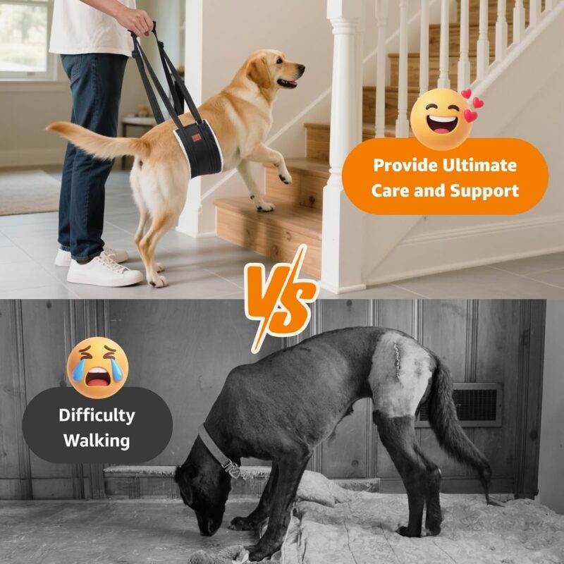 Suporte Looboni para Pata Traseira de Cães Reabilitação