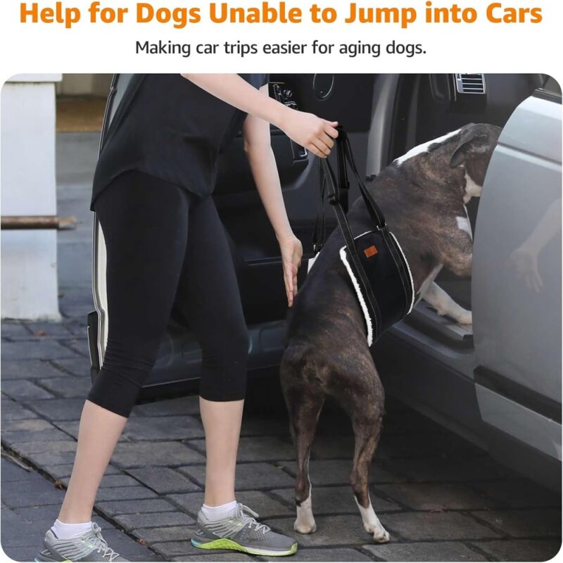 Suporte Looboni para Pata Traseira de Cães Reabilitação