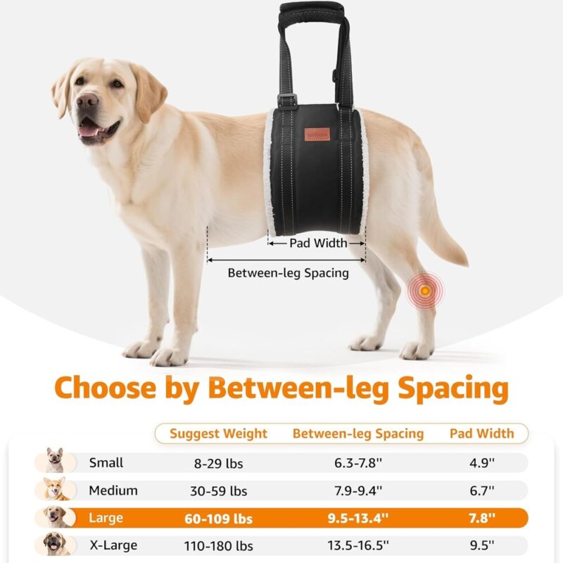 Suporte Looboni para Pata Traseira de Cães Reabilitação