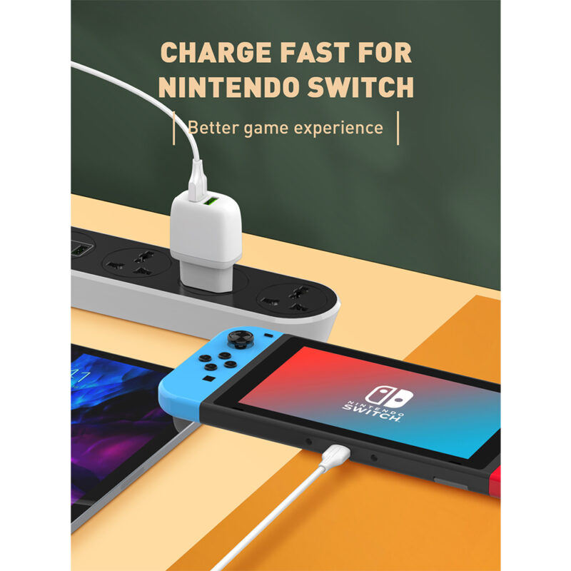 Cabo Usb C p/Usb C Macho Ldnio 65W Carga Rápida PD 1M