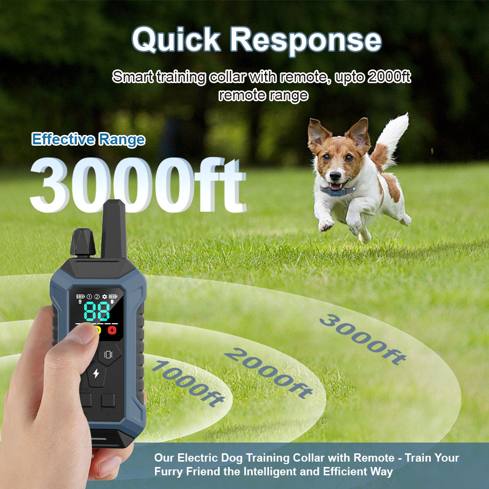 Coleira Treinamento Purple Box Cães Sem Fio Prova D'água