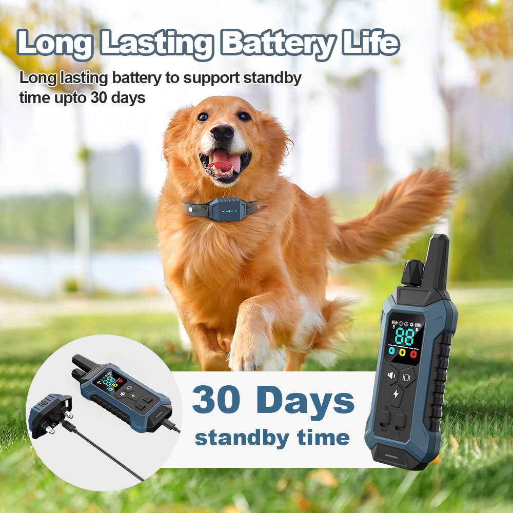 Coleira Treinamento Purple Box Cães Sem Fio Prova D'água