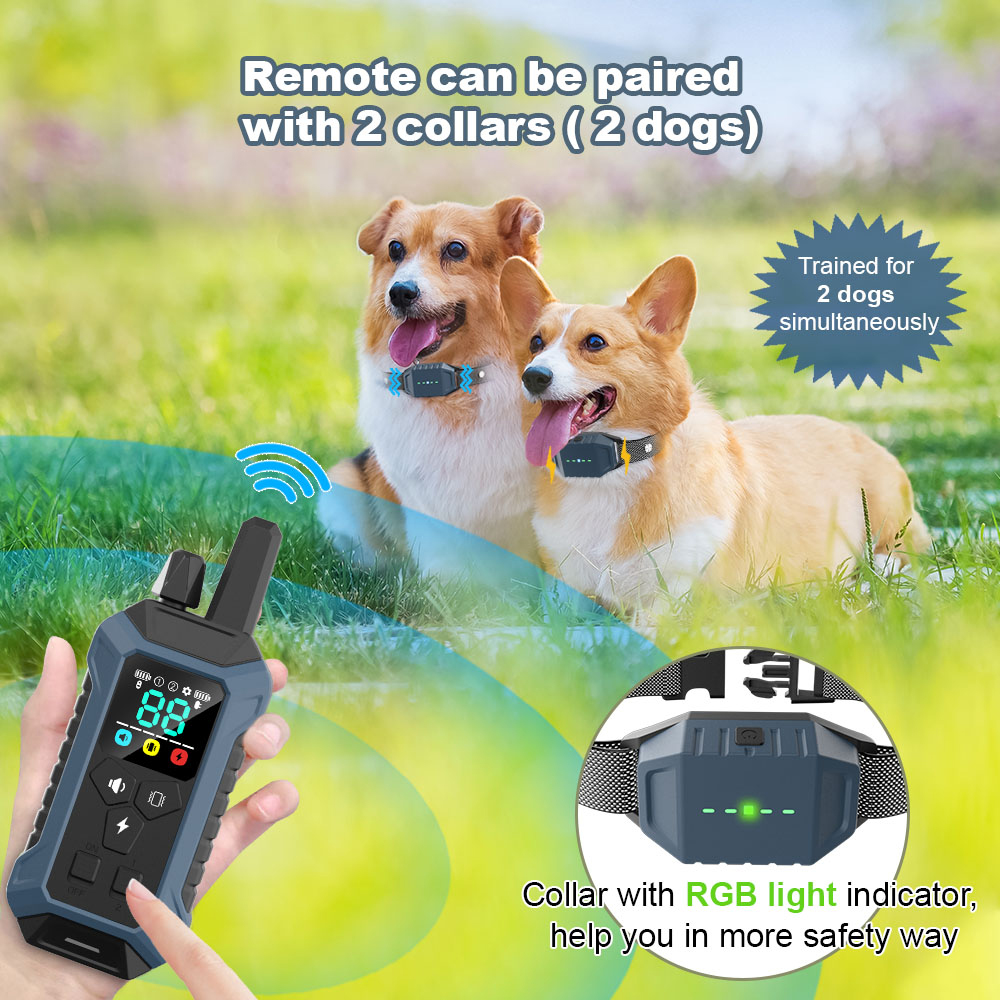 Coleira Treinamento Purple Box Cães Sem Fio Prova D'água