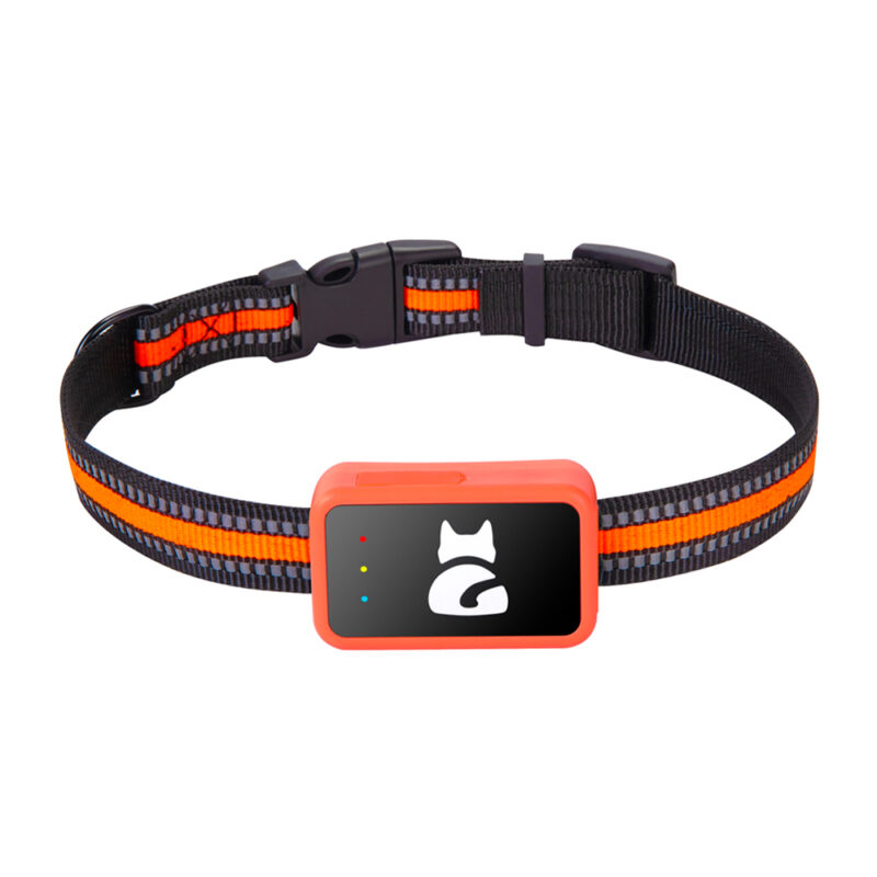 Coleira Rastreador Gps Anxk 4G G68 para Cães Pet Localização